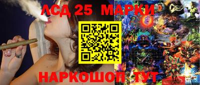 гашик Кимры