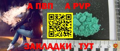 стаф Кинель