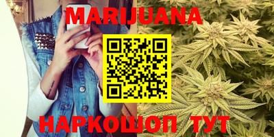 прущие крисы Камышлов