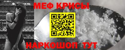 стаф Кинель