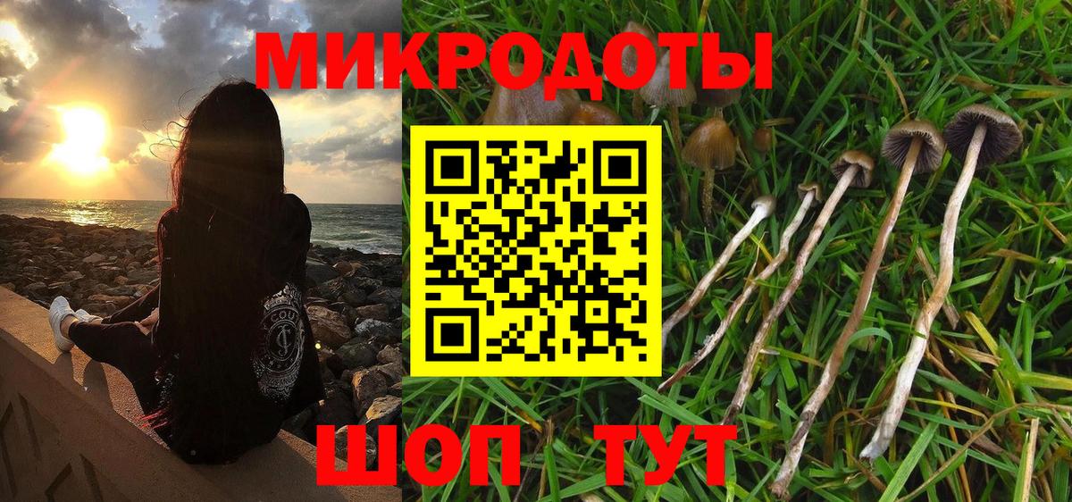 Псилоцибиновые грибы GOLDEN TEACHER Лесозаводск
