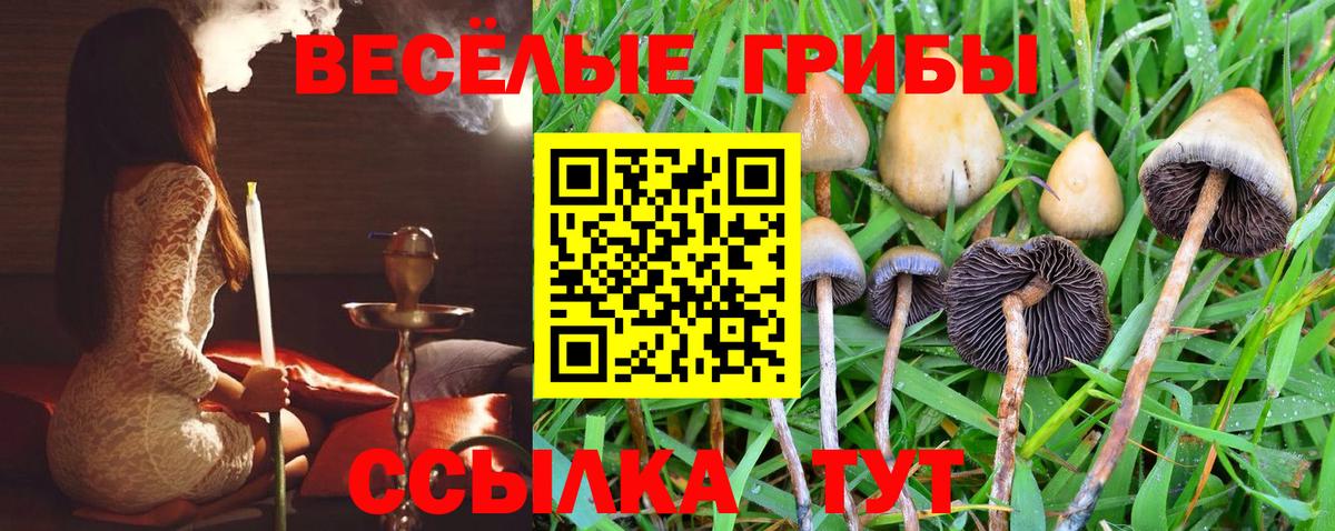 Галлюциногенные грибы мухоморы  Вход с VPN  Лесозаводск 